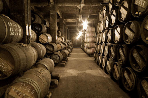 bodega nueva