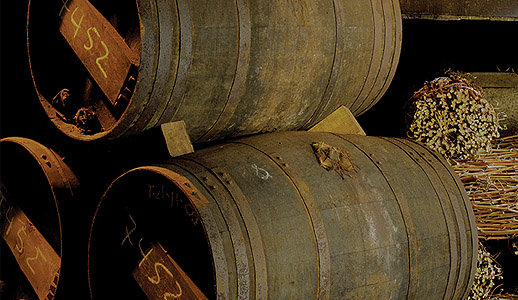 crianza