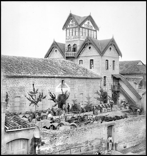 Torre Tower