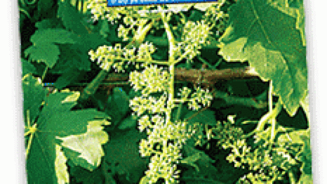 coverwinegazette